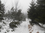 Vyrocni-setkani-Orlicke-hory